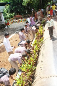 Plantation